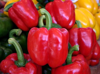 Bell peppers fresh ,Vegetables chili ,red, green ,yellow sweet peppers ,Heirloom seeds in garden with macro image	