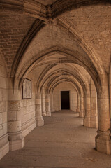 Fototapeta na wymiar In the Corridors of Amboise Castle