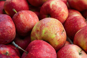 pomme rouge et verte