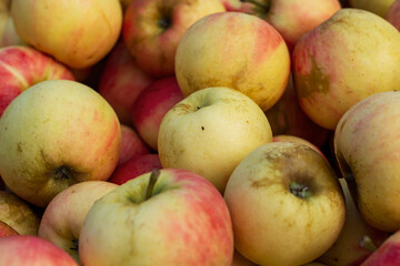 pomme rouge et jaune