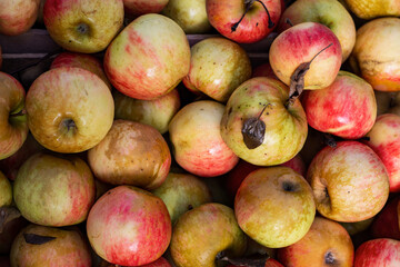 pomme rouge et verte 
