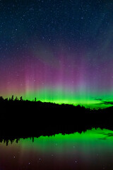 The Northern Lights (Aurora Borealis) low in the night sky, reflects over a lake at Algonquin Park, Ontario, Canada