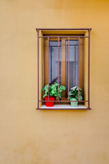 Vertical image of the facade of a rural house with a lattice window and flower pots.