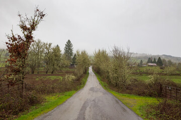 Fototapeta na wymiar Empty road on the countryside in Oregon