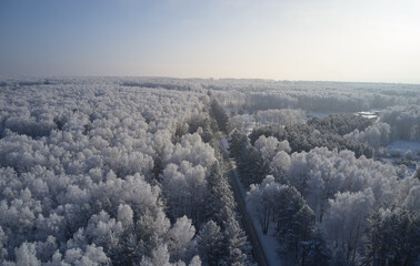 Aerial photo of winter road alley surrounded by fir and birch trees. Drone shot of trees covered with hoarfrost and snow.