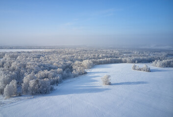 Aerial photo of birch forest in winter season. Drone shot of trees covered with hoarfrost and snow.