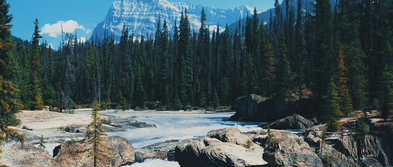 Alberta river running through nature in Canada