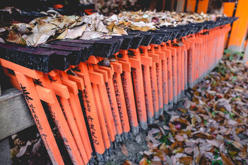 Torii gates and dry leaves of autumn at Fushimi Inari taisha shrine, Kyoto, Japan