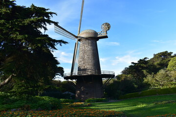 Dutch Windmill in Golden Gate Park, San Francisco - obrazy, fototapety, plakaty