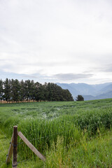 Fototapeta premium landscape of rural Barragan Valle del Cauca Colombia in the Colombian Andes
