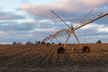Fototapeta premium Rural sunset on a field with irrigation equipment