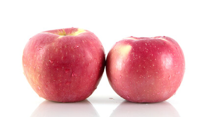 Two red apples on white background