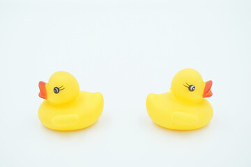 Two yellow ducklings, back to back on a white background