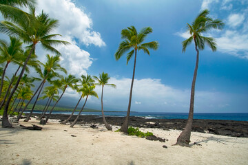 1871 trail, Alabama bay. Pu'uhonua O Hōnaunau National Historical Park. Big Island Hawaii 