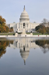 Fototapeta premium United States Capitol building in Washington, D.C. 
