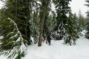 A mother and daughter walking through the mountains covered in freshly fallen snow surrounded by...