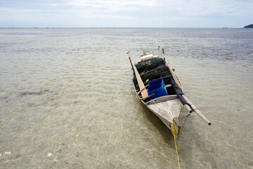 Obraz premium Waiting for the night to find fish