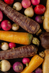 A colorful assortment of root vegetables (carrots, beetroots, turnips) arranged on black background...