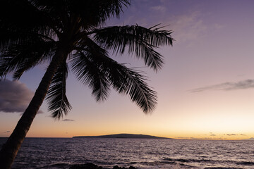 Naklejka na ściany i meble Maui Sunset
