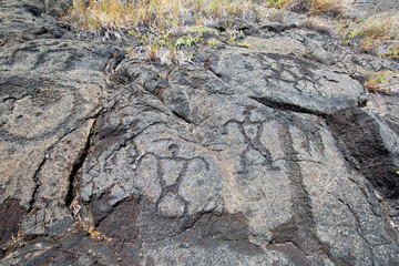 Pu`u Loa Petroglyphs. Volcanoes National Park, Big Island Hawaii 