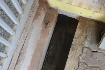 Fototapeta na wymiar Manhole cover made of cement in Thailand