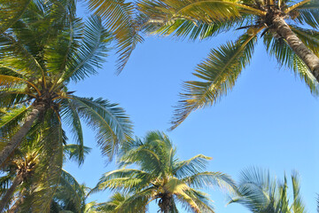 Beatiful sunset in caribe beach 