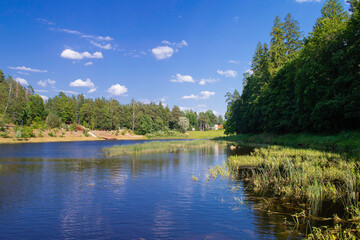 Countryside and nature of Latvia. Forest along the banks of river. Town of Ogre.