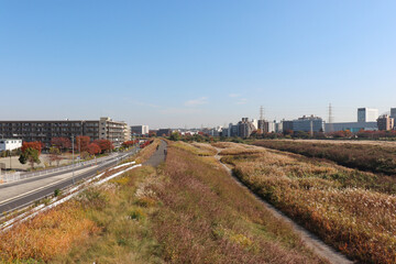 Fototapeta premium 新横浜付近の鶴見川（神奈川県横浜市港北区）