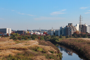 Fototapeta premium 新横浜付近の鶴見川（神奈川県横浜市港北区）