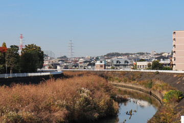 Fototapeta na wymiar 早渕川（神奈川県横浜市港北区）