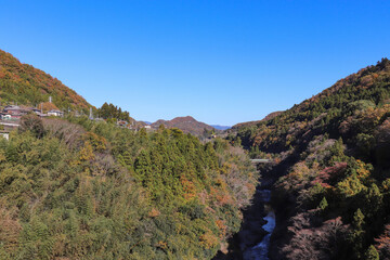 桂川周辺の紅葉（山梨県大月市梁川町）