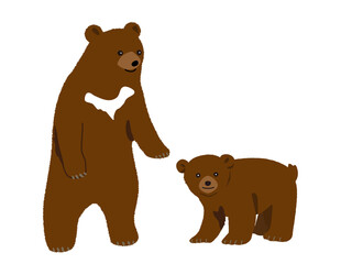 仲良し熊の親子