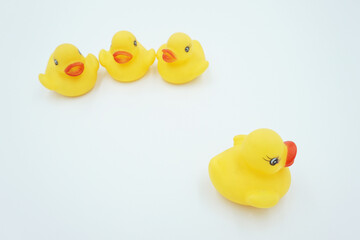 Yellow duck animal toy on white background