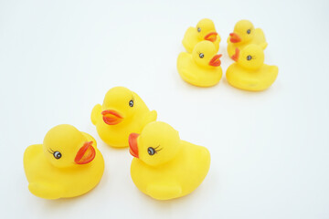 Yellow duck animal toy on white background