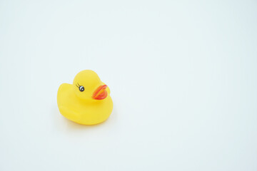 Yellow duck animal toy on white background