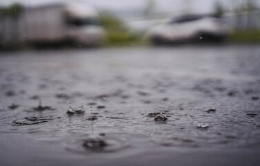 장마 속 빗방울