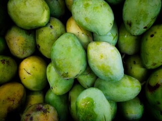 fresh green mangoes