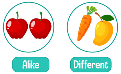 Opposite words with alike and different