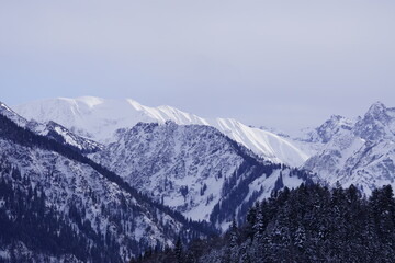Fototapeta na wymiar Schneebedeckte Allgäuer Alpen Gipfel im Winter