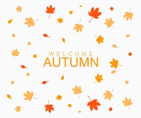 Autumn leaves background flat design