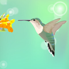 Fototapeta premium Vector design of green hummingbird and green glitter orange flower background