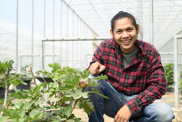 Asian young farmer sitting in organic fig tree greenhouse