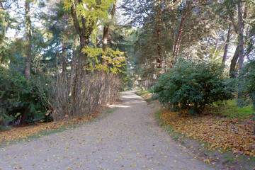Parque Quinta de los Molinos, Madrid