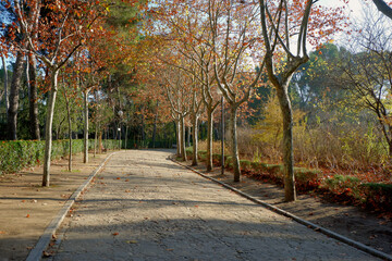 Parque Quinta de los Molinos, Madrid