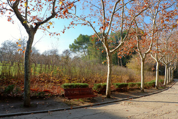 Naklejka na ściany i meble Parque Quinta de los Molinos, Madrid