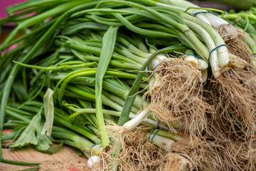 Fresh organic green onion sold at city farmers market