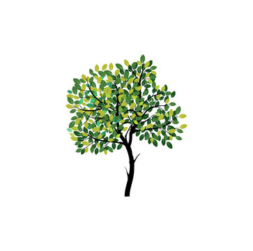 realistic tree vector image isolated on white background