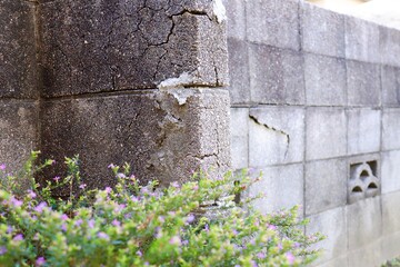 住宅の庭の割れたブロック塀