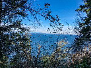 Lincoln Park