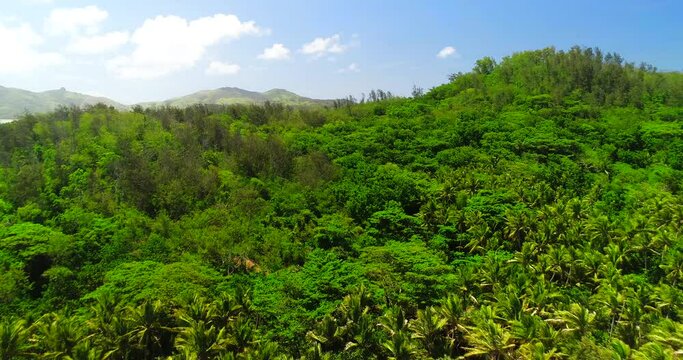 Beautiful Turtle Island in the Fiji Islands